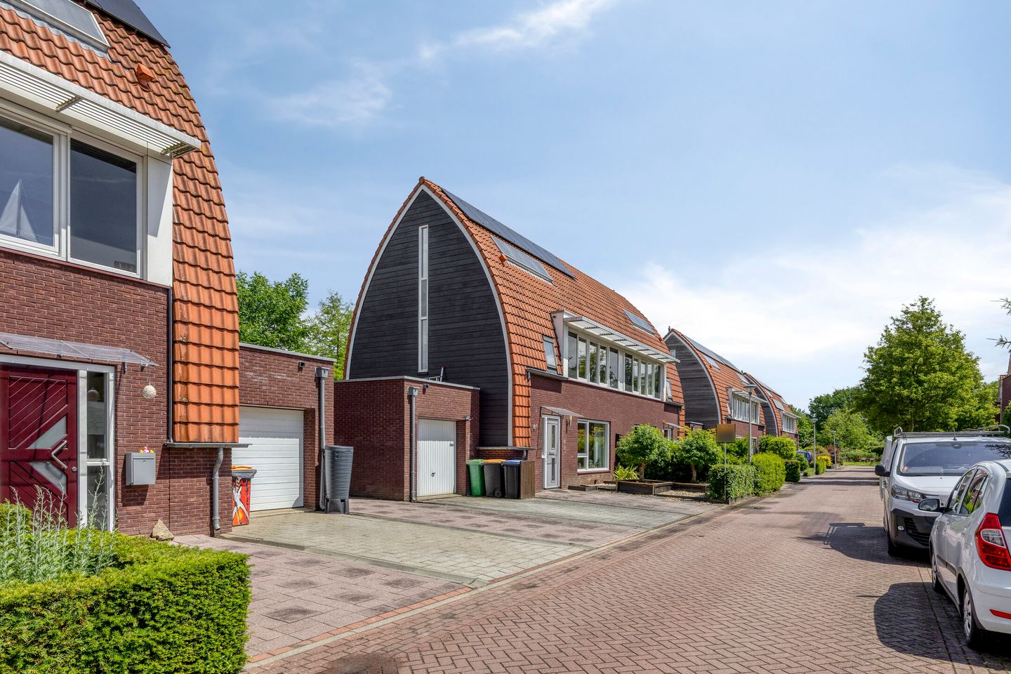 Foto 4 van Goudvink 3