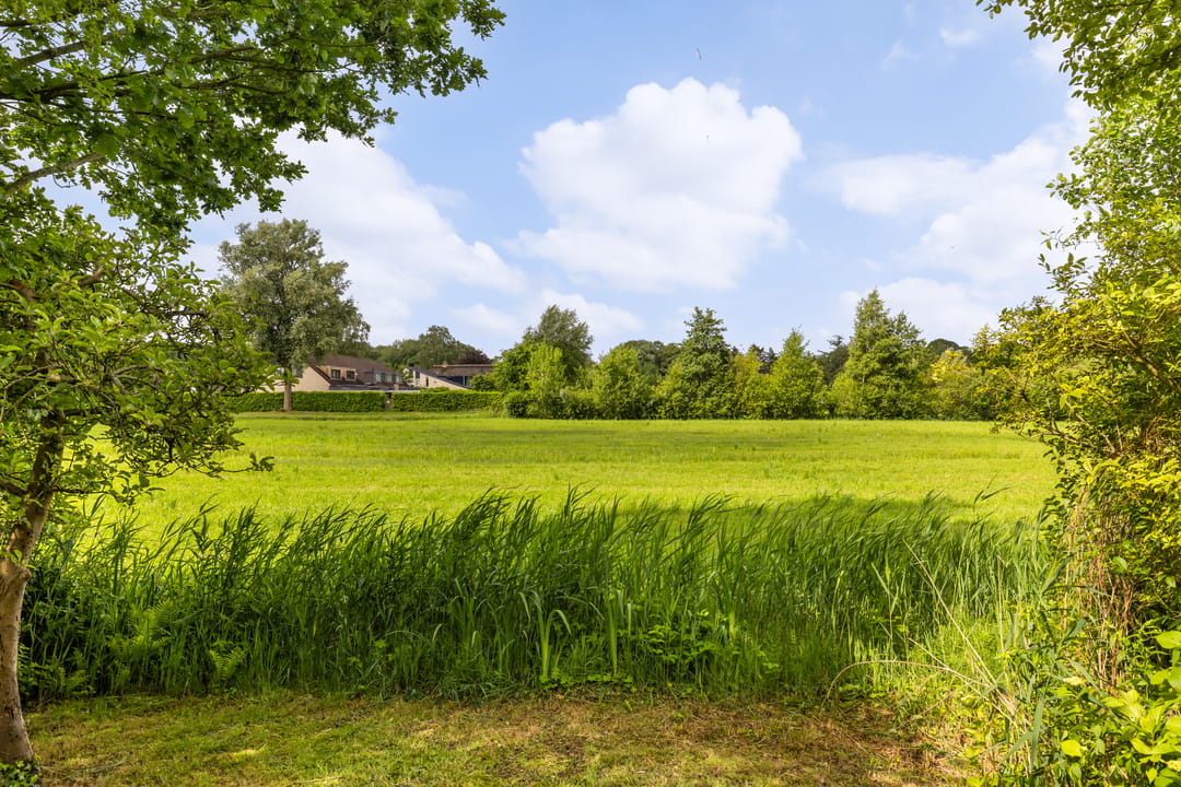 Photo 38 of Stadhouderslaan 19