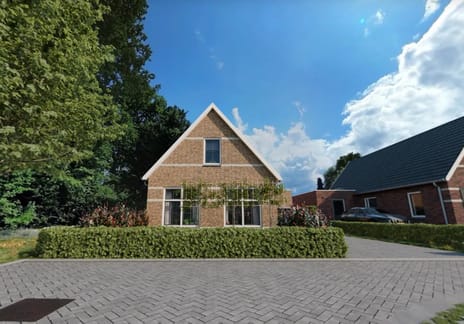 Ridderspoor thumbnail