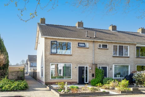 Boerhaavestraat thumbnail