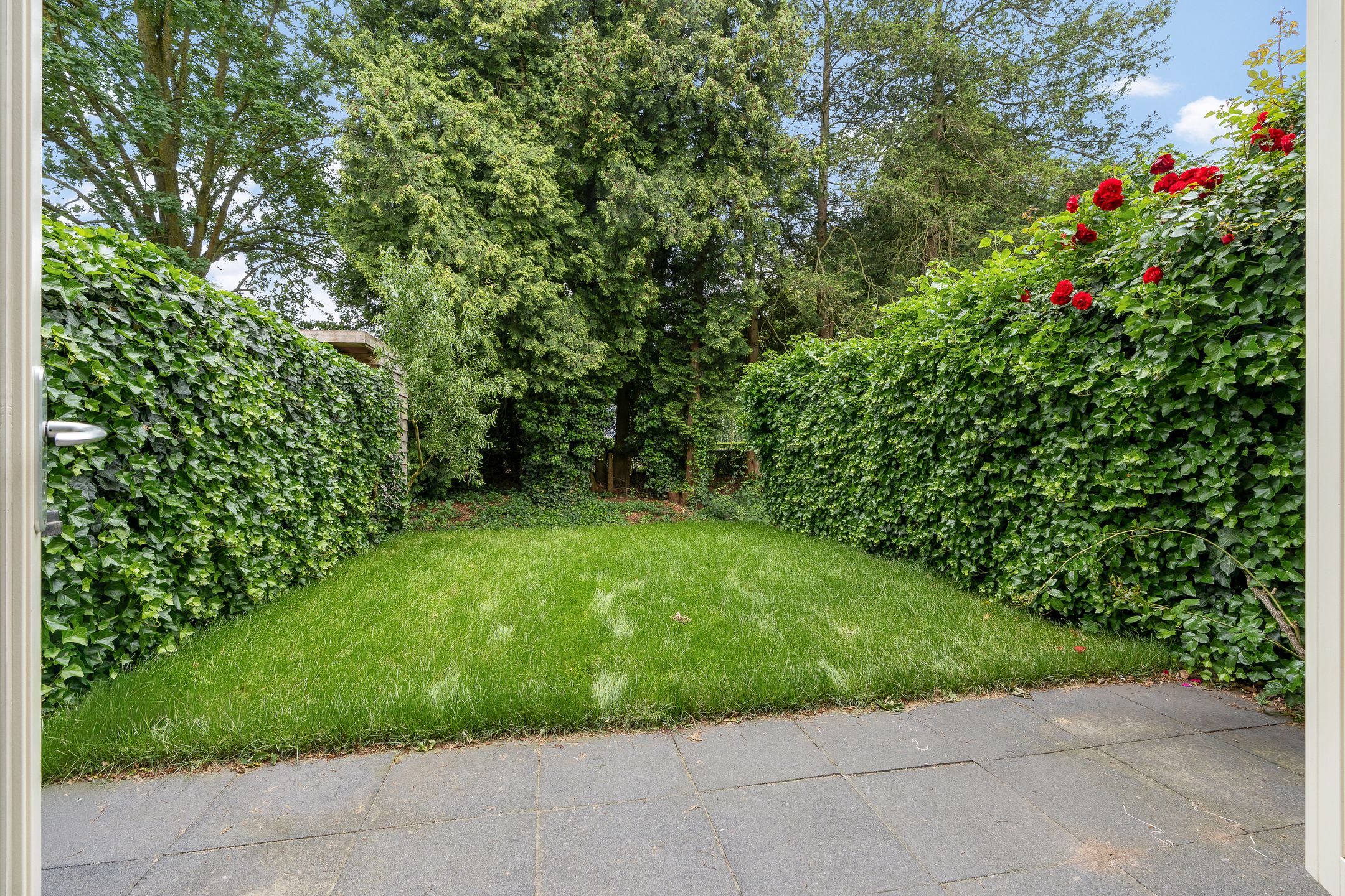 Photo 3 of Dominee Versteegtstraat 3