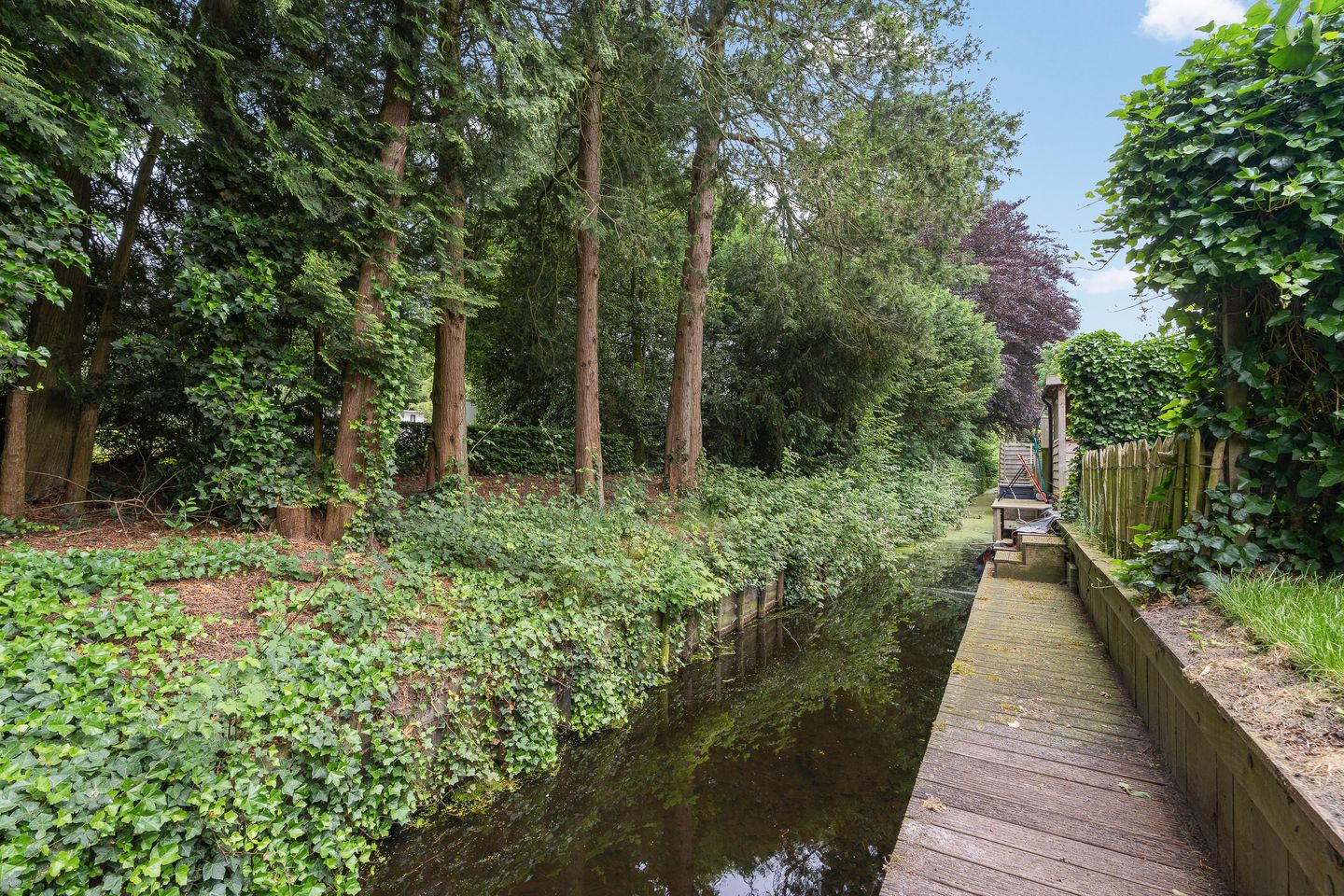 Photo 4 of Dominee Versteegtstraat 3