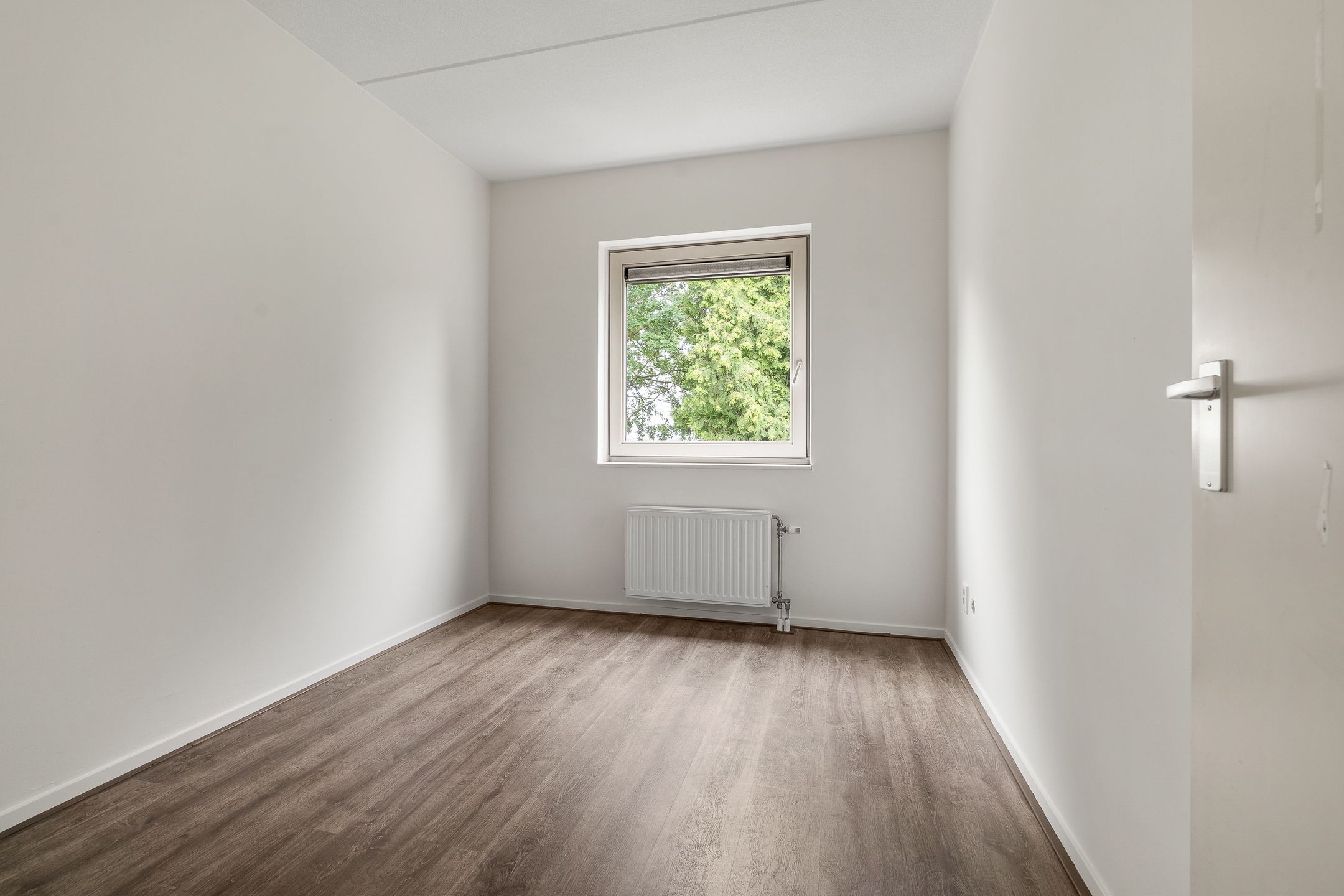 Photo 18 of Dominee Versteegtstraat 3