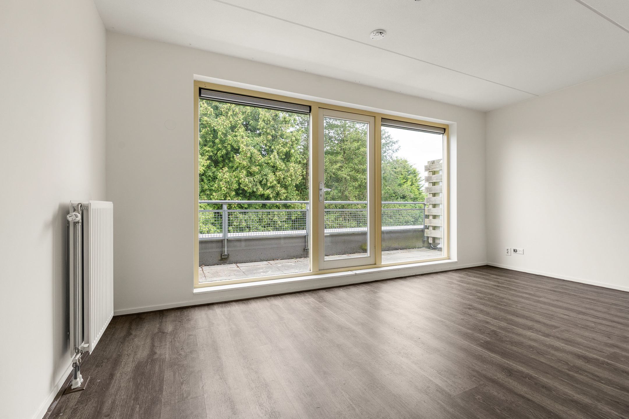 Photo 24 of Dominee Versteegtstraat 3