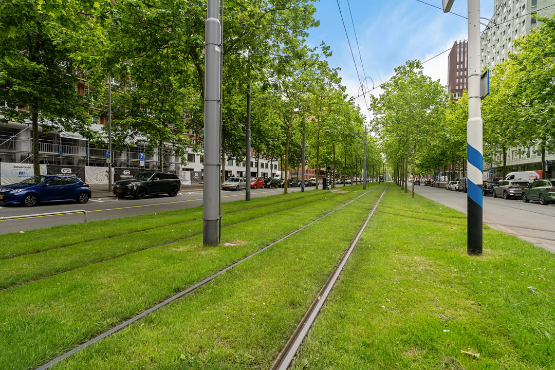 Foto 43 van Laan op Zuid 106