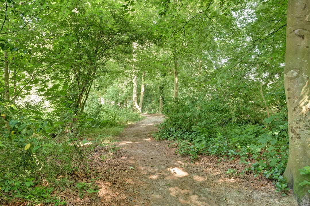 Foto 43 van Duinweg 18