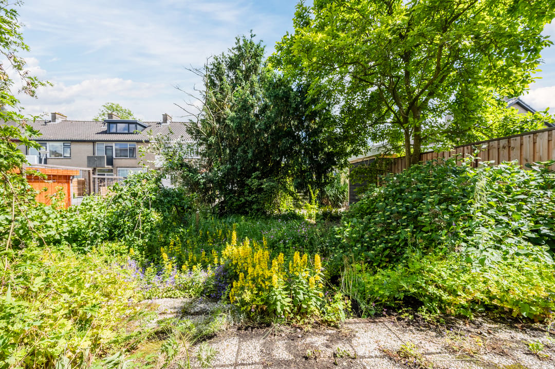 Photo 41 of Pompe van Meerdervoortsingel 31