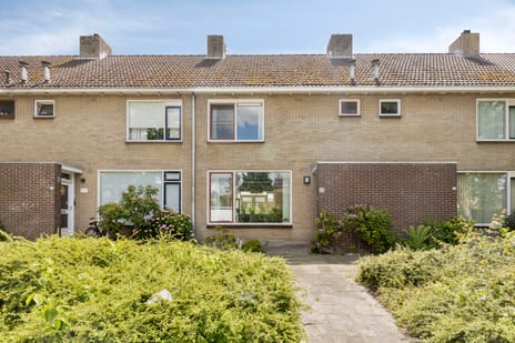Ds. Martin Luther Kingweg thumbnail