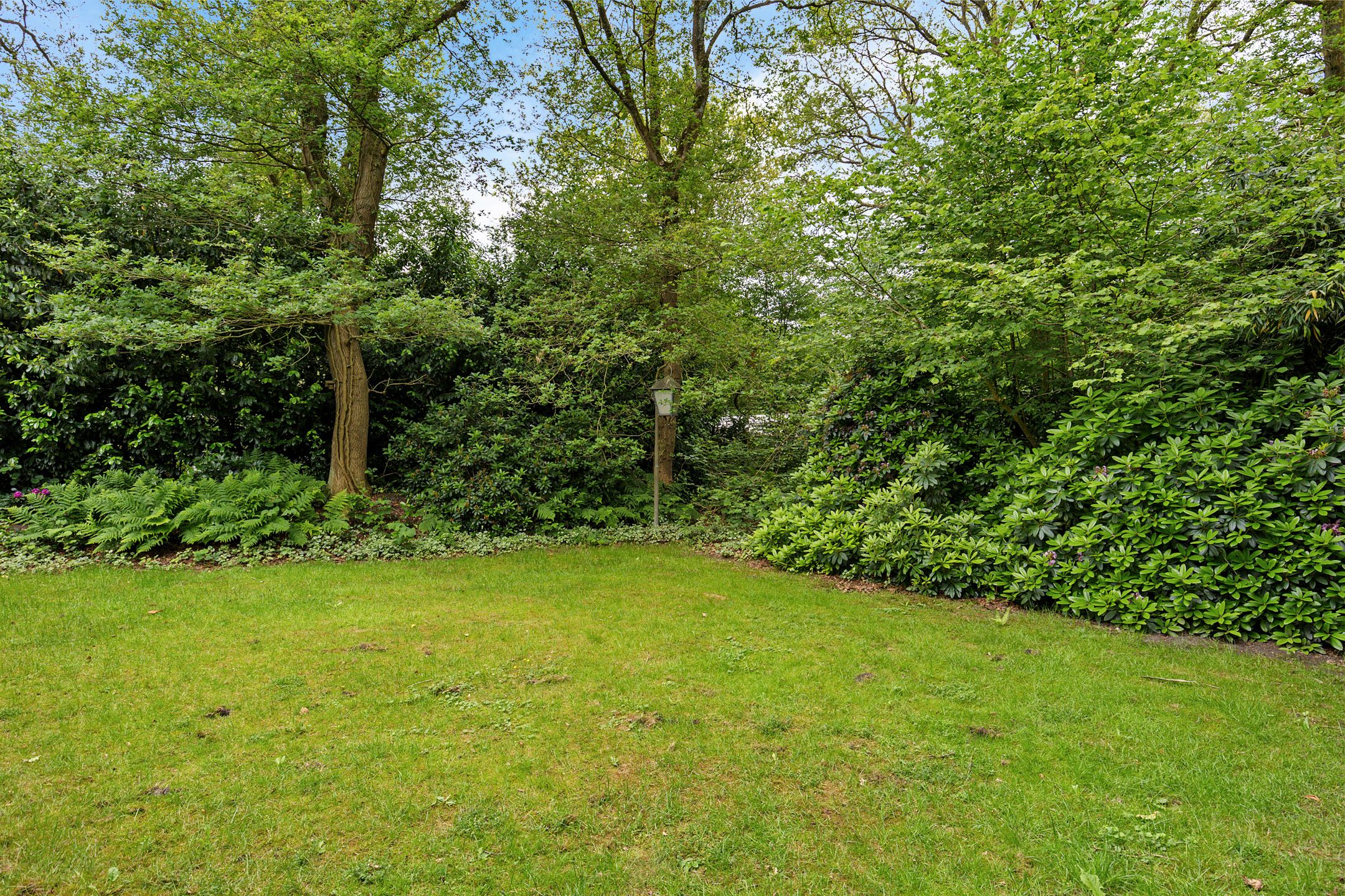 2-bedroom freehold villa in Zuidlaren — photo 4 of 5