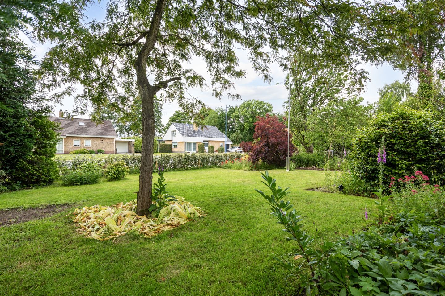 Photo 20 of Noorderweg 3