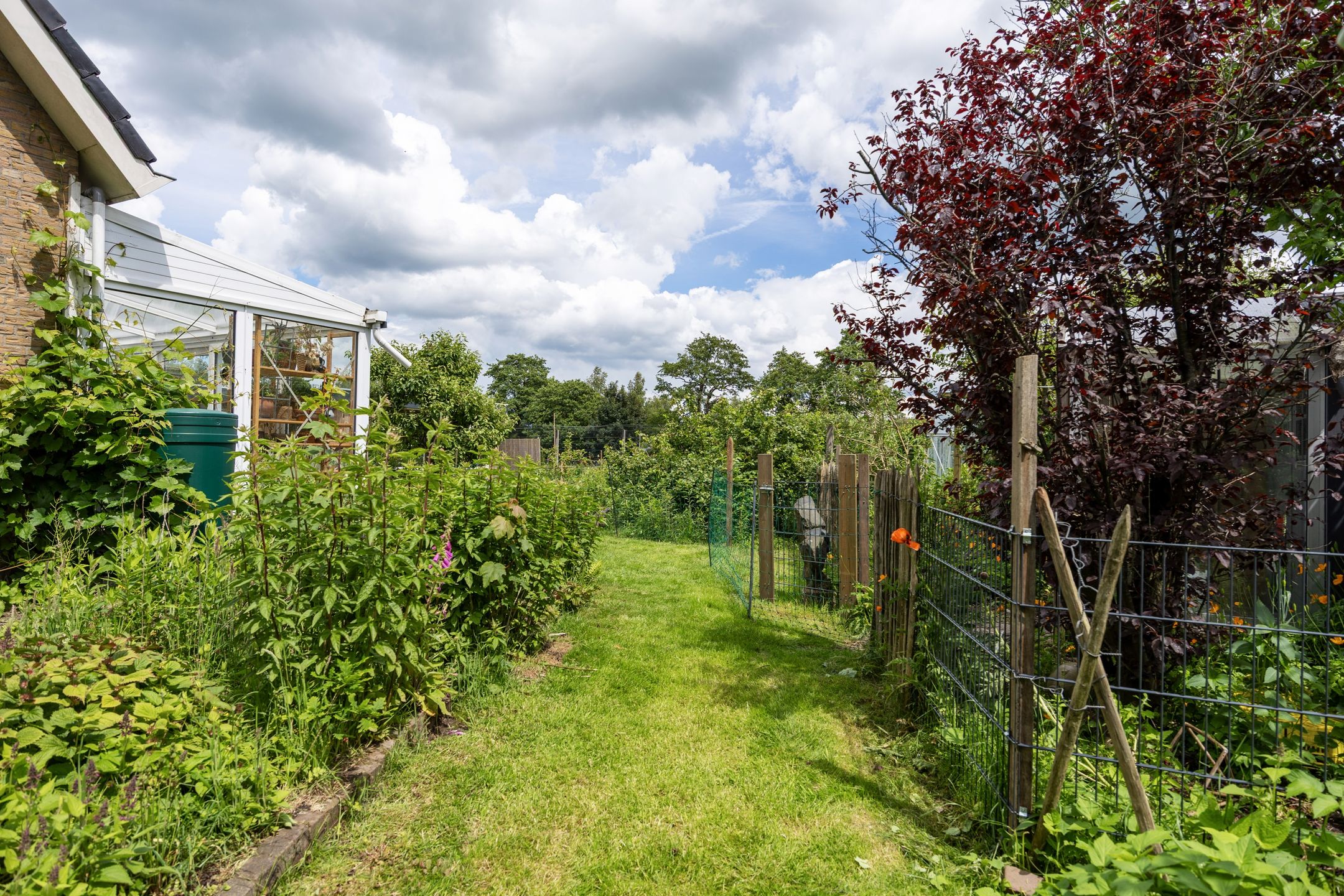 Photo 90 of Noorderweg 3