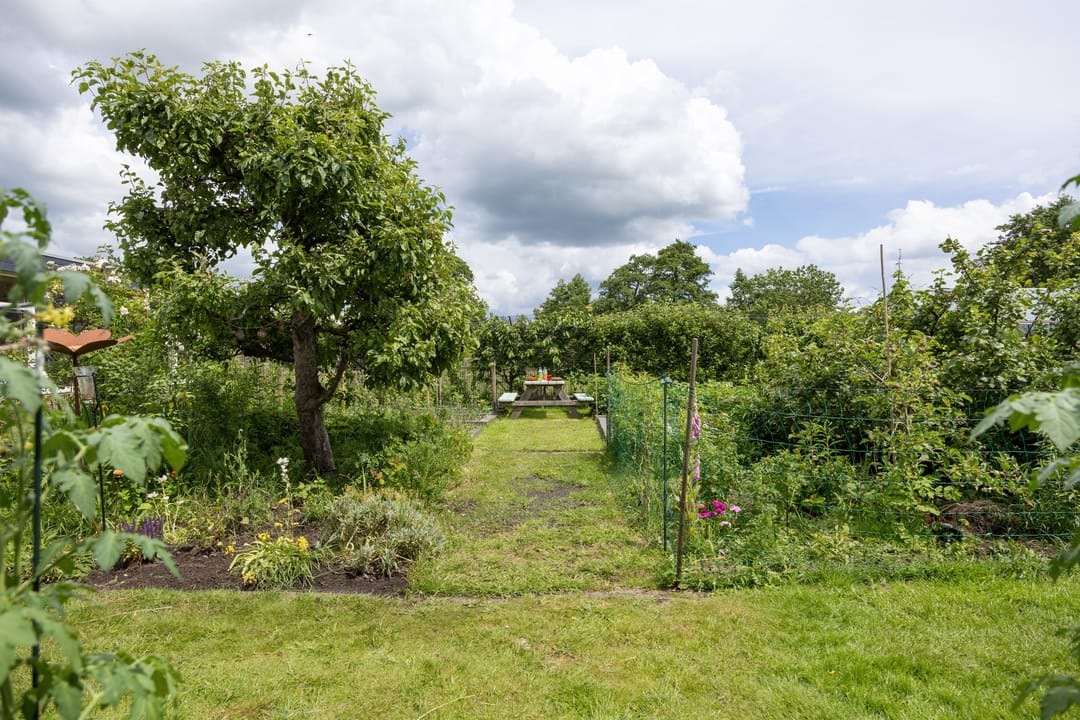 Photo 92 of Noorderweg 3