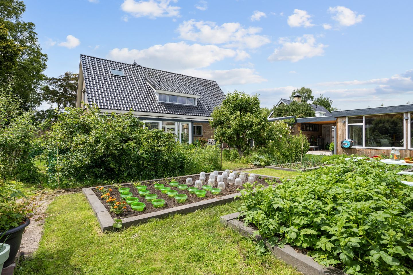 Photo 85 of Noorderweg 3