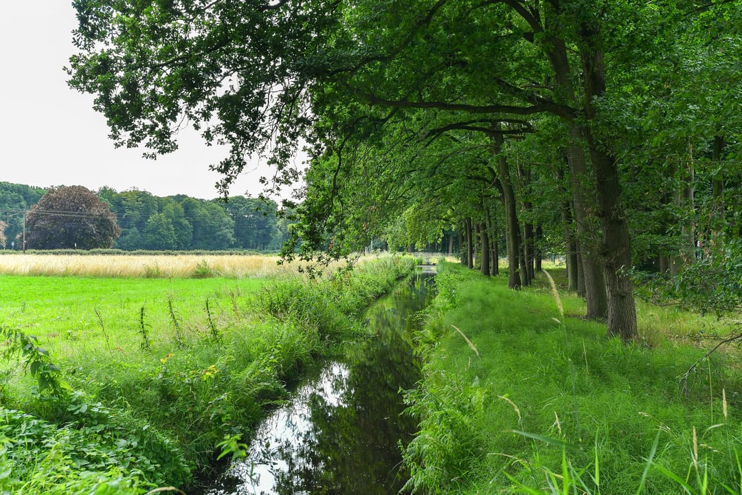 Foto 58 van Beekhuizenseweg 1-A