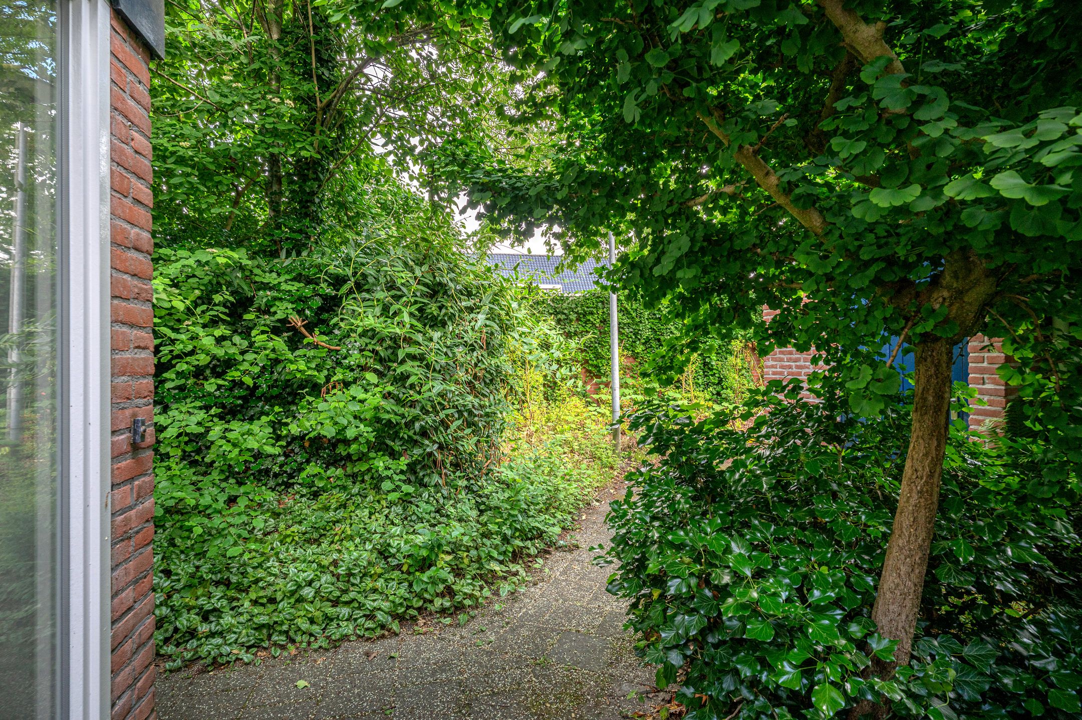 Photo 6 of Zagerij 16