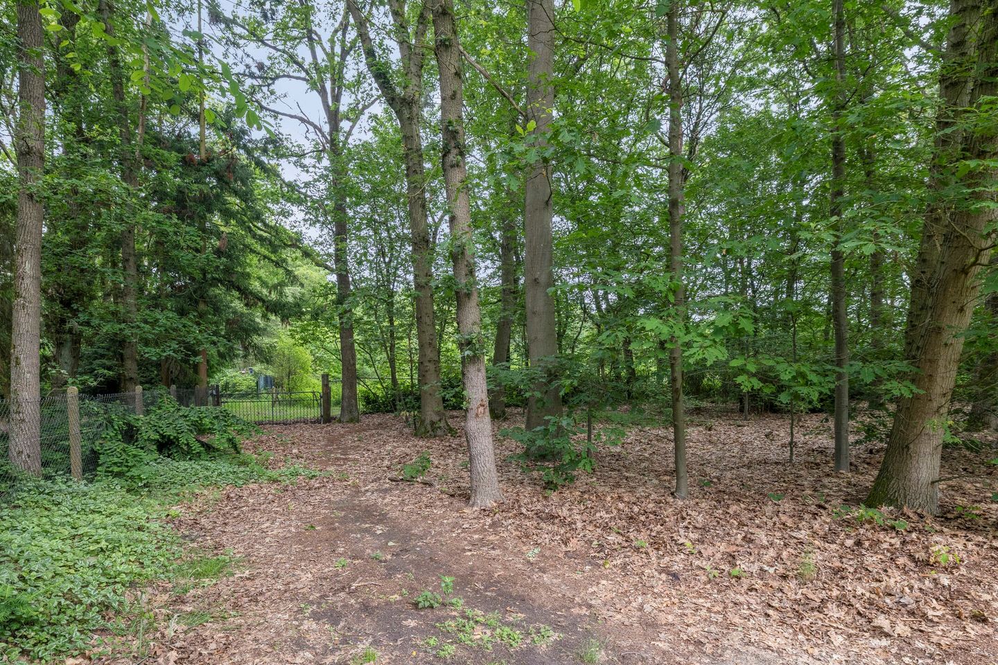 Oude Rielsebaan 185 - Tilburg - Afbeelding 7