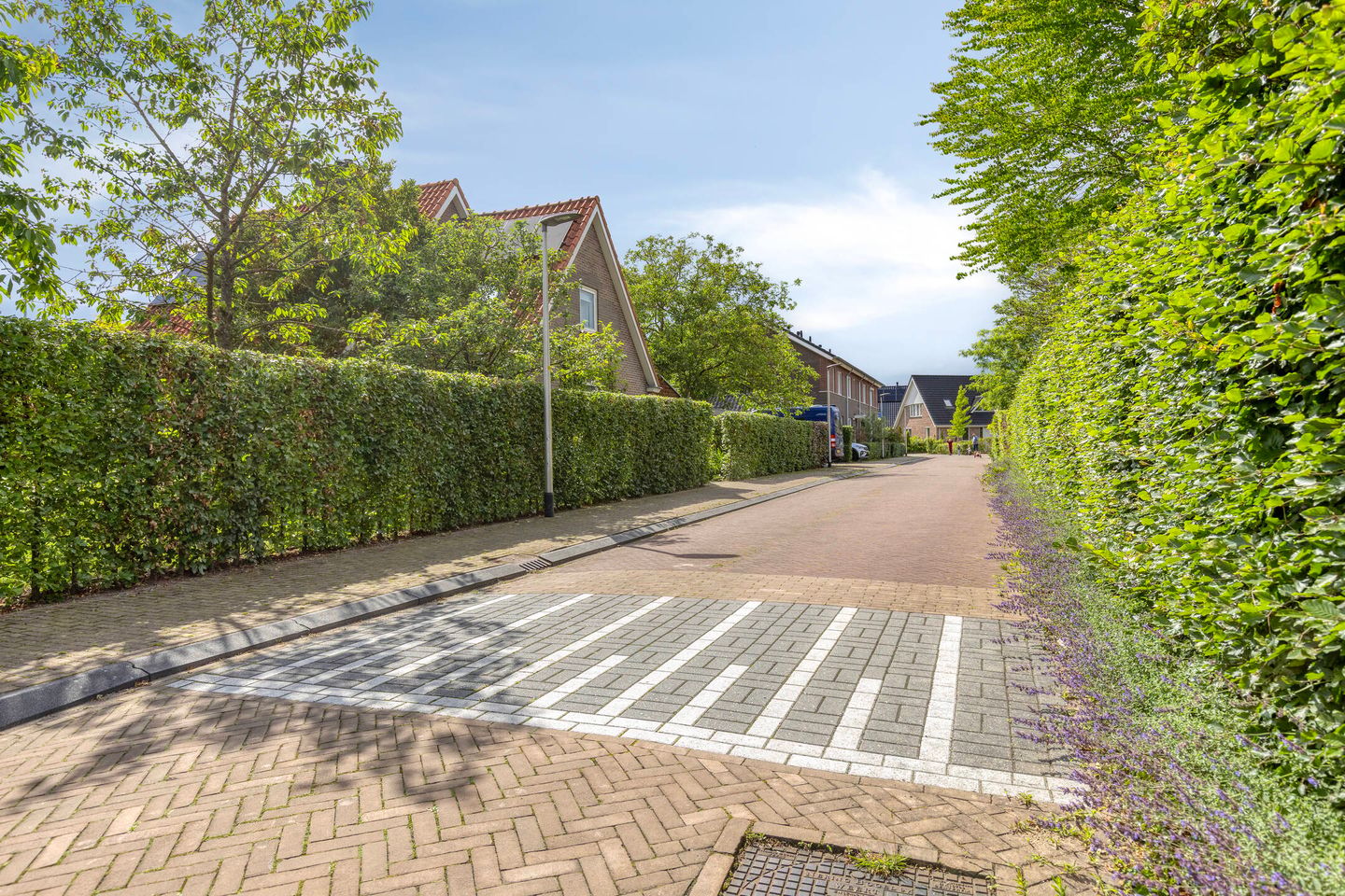 Foto 59 van Zutphenseweg 16