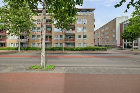 Aalbersestraat thumbnail