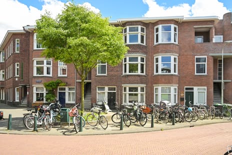 Maystraat thumbnail