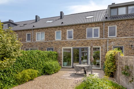 Mierikswortel thumbnail
