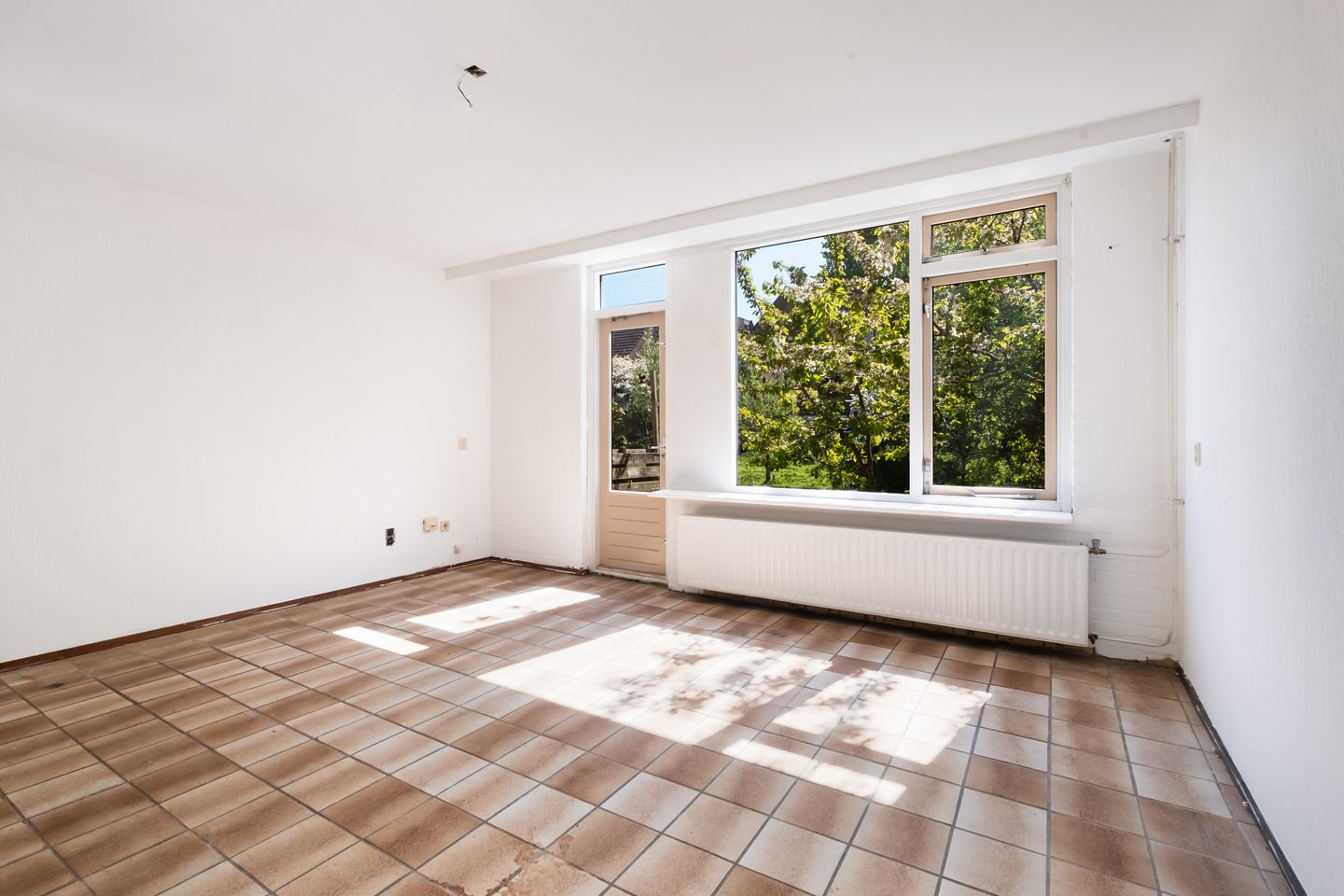 Foto 4 van King Olivereiland 34