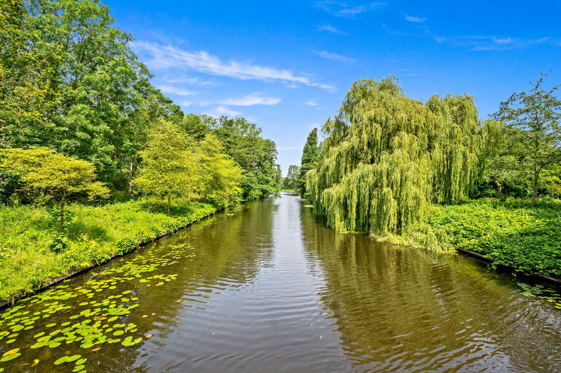 Photo 39 of De Brink 266