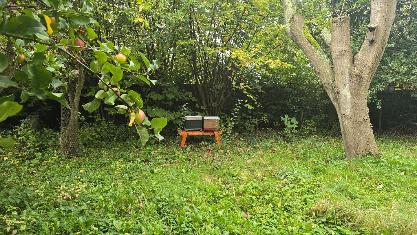 Foto 5 van Waijensedijk 8-6