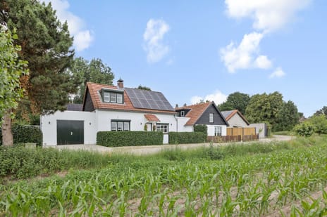 Bruggensestraat thumbnail