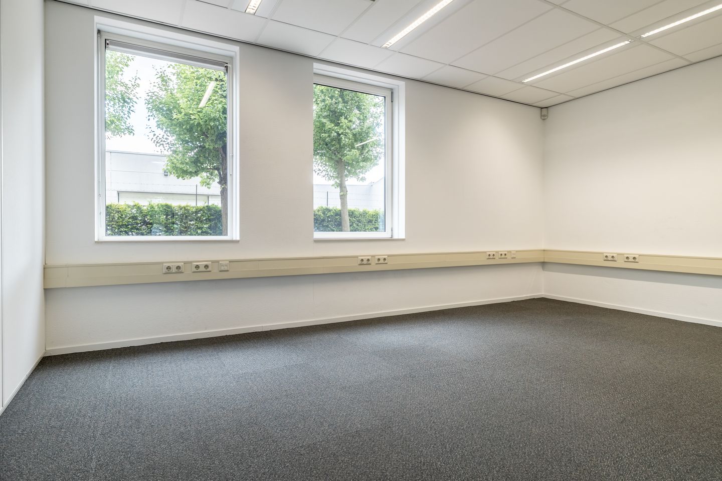 Bekijk foto 4 van Minervum 7065-A