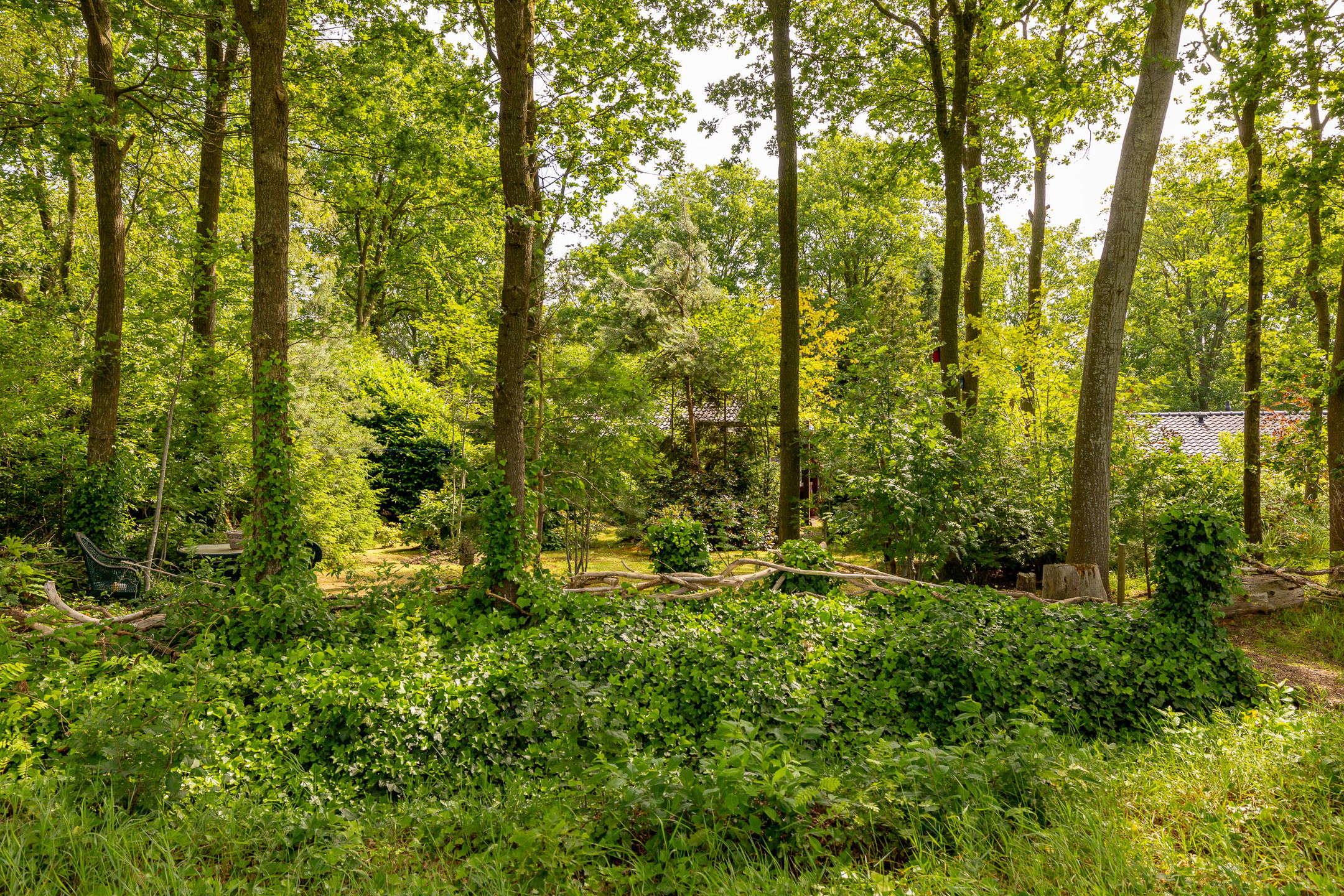 Foto 42 van Oshaarseweg 24-79