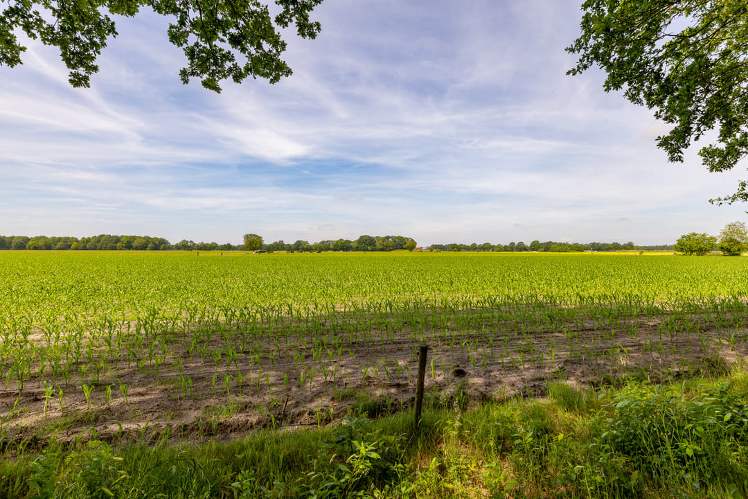 Foto 41 van Oshaarseweg 24-79
