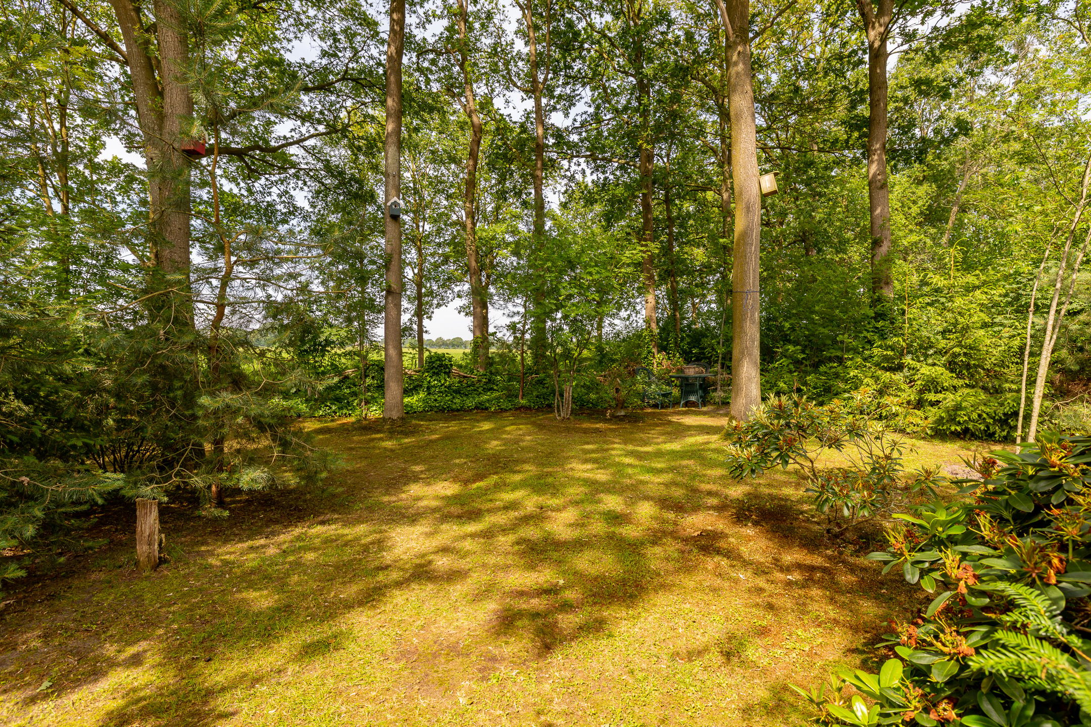 Foto 36 van Oshaarseweg 24-79