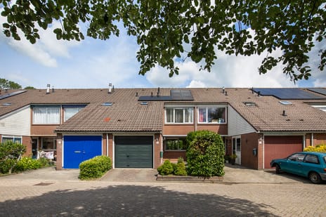 Pieter Taemszstraat thumbnail