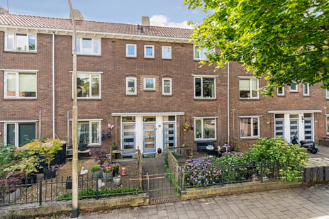 Bosbesstraat thumbnail
