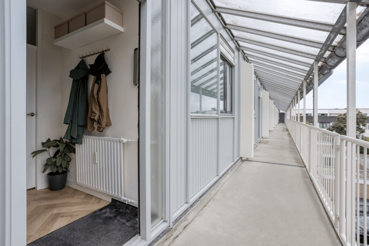 Photo 3 of Bolestein 36