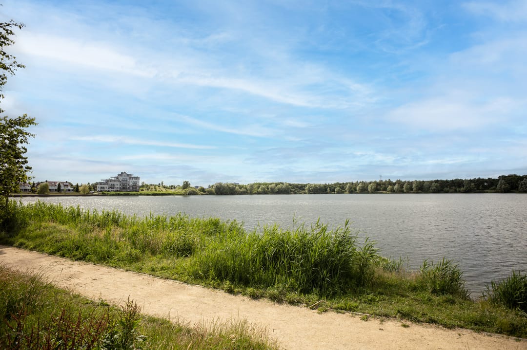 Photo 71 of Vossenlaan 16