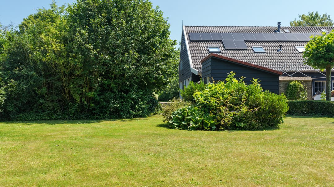 Photo 67 of Molenlaan 31