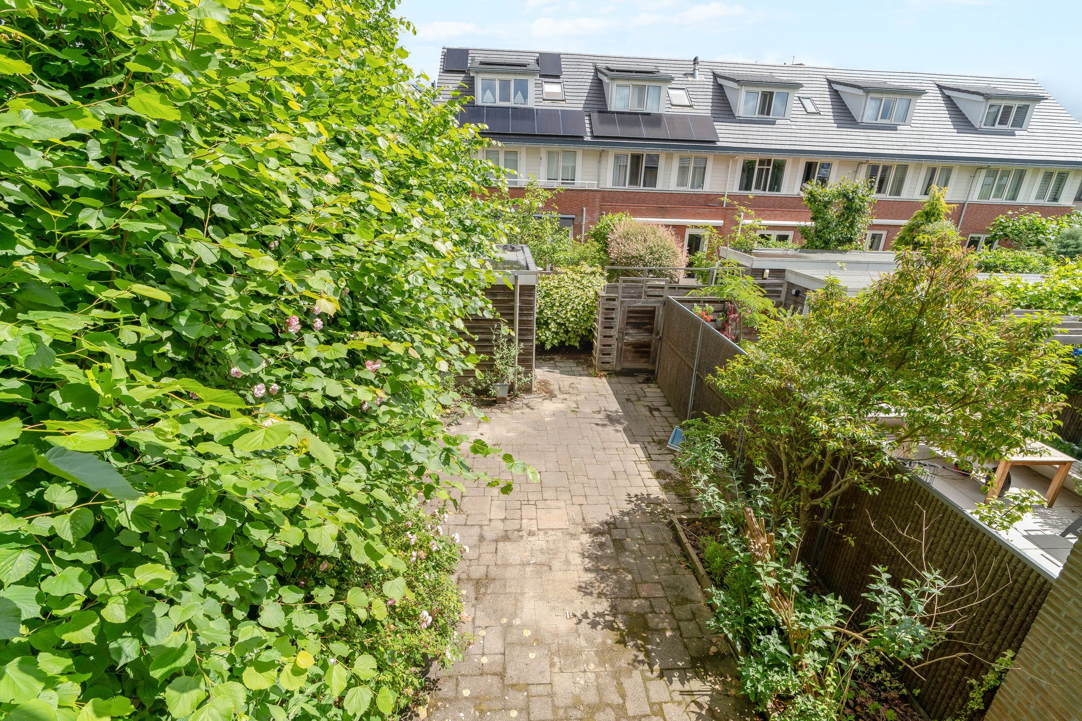 Photo 27 of Volmolen 1