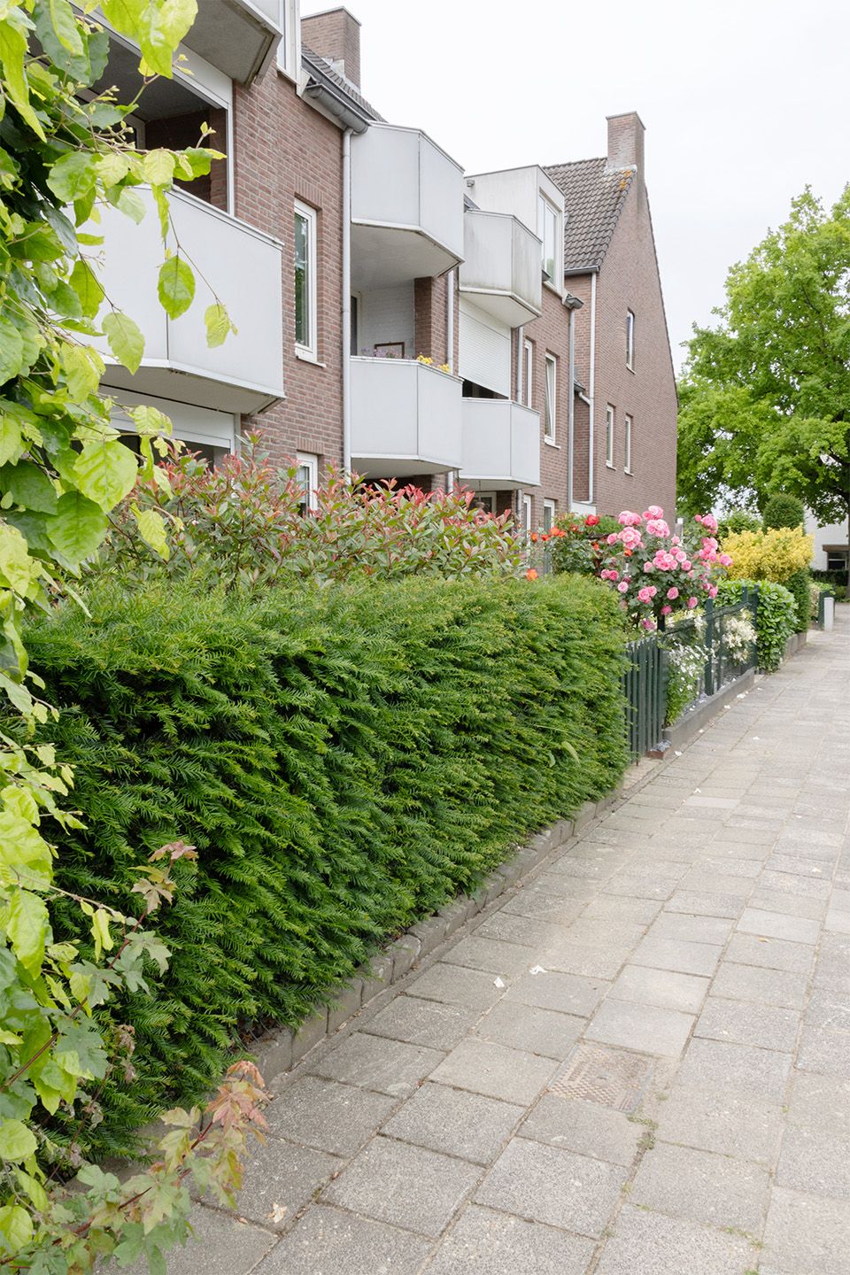 Foto 3 van Vendelstraat 20