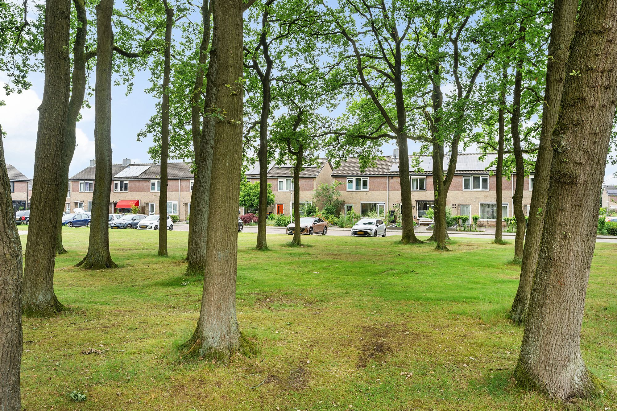 Foto 42 van Hoontebrink 12
