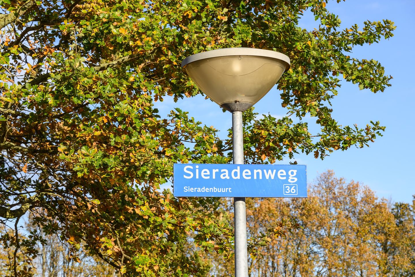 Foto 40 van Sieradenweg 81
