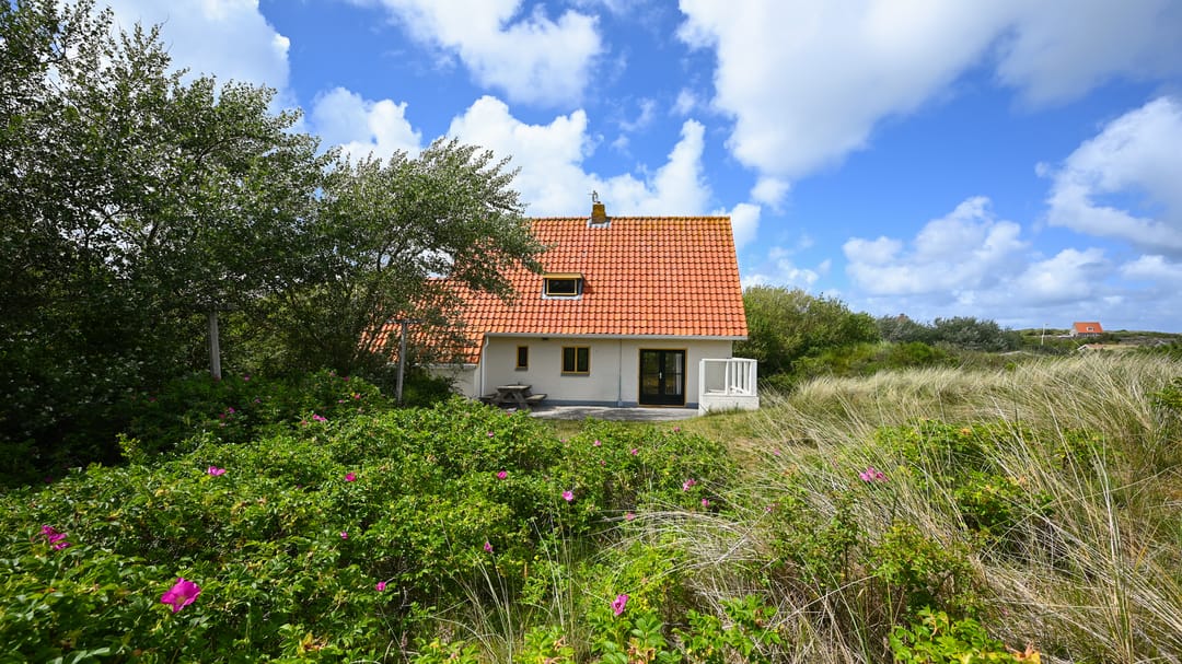 Photo 26 of Midsland aan Zee 313