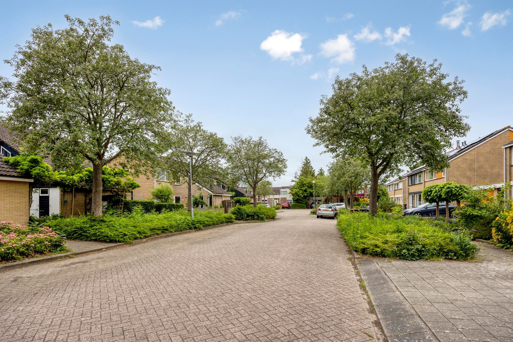 Photo 3 of Sluisdeur 34