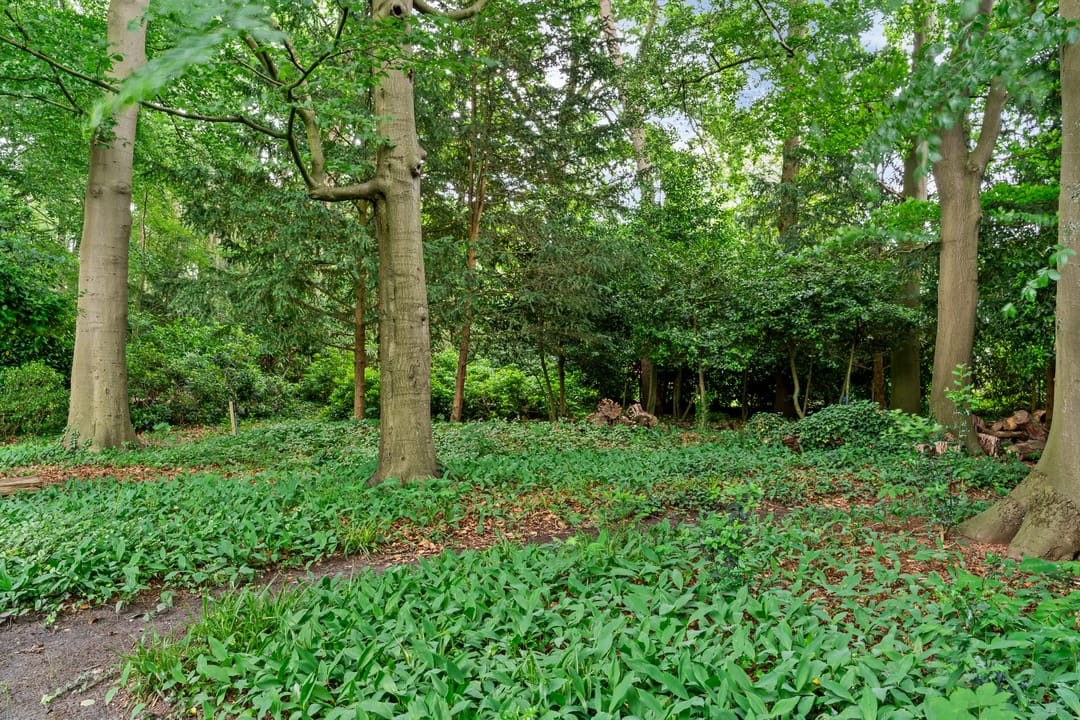 Photo 76 of Soestdijkseweg Zuid 182