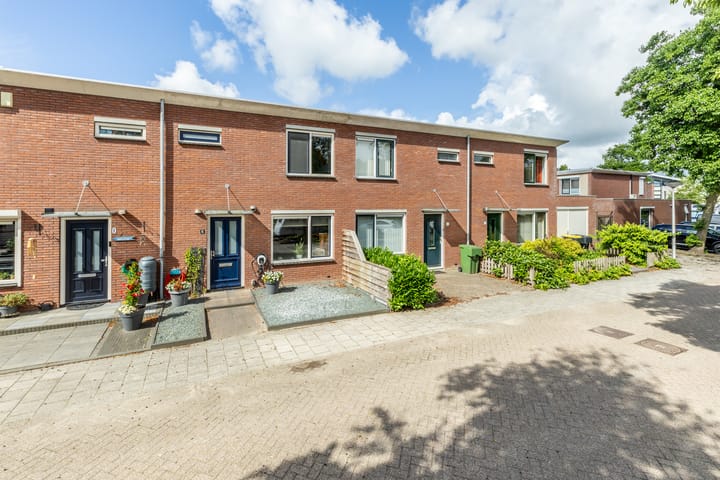 Kleine Vos 6