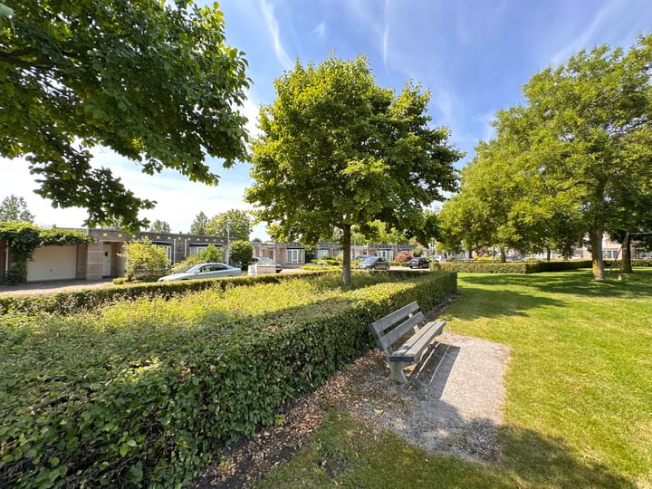 Foto 4 van de Legge 5