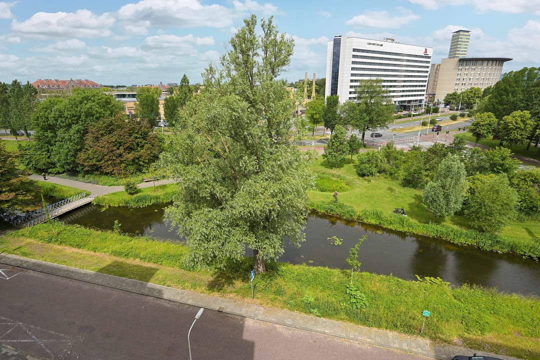 Foto 41 van Stadhoudersplantsoen 14