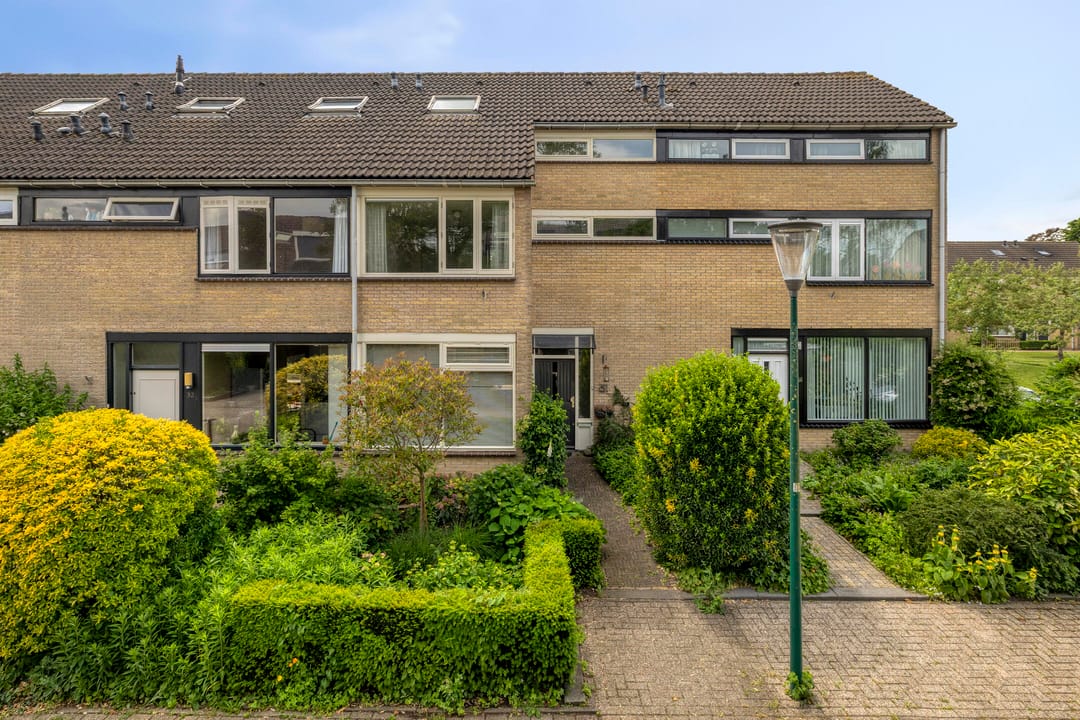 Foto 1 van De Ness 31