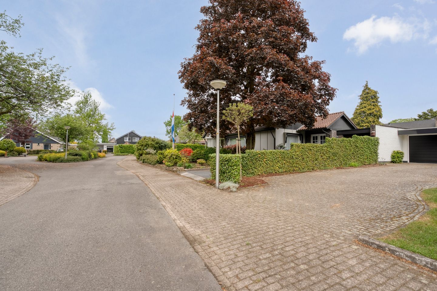 Photo 49 of Kroonprins 23
