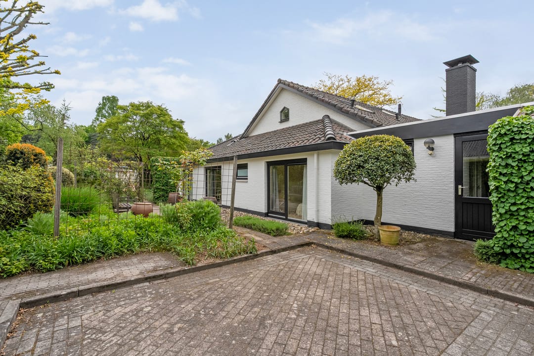 Photo 47 of Kroonprins 23